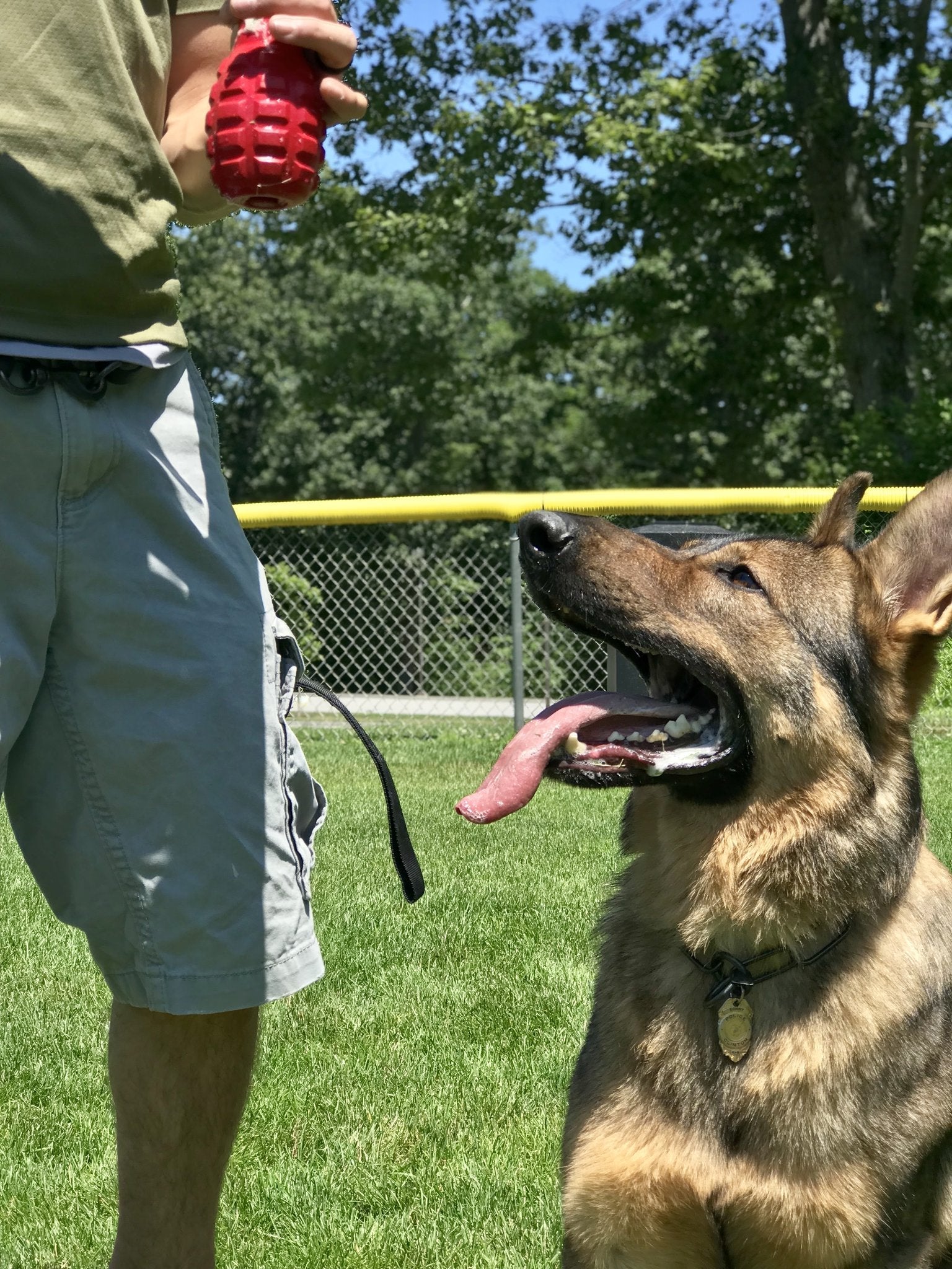 USA-K9 Magnum Grenade Durable Rubber Reward Toy - Sierra Canine Supply