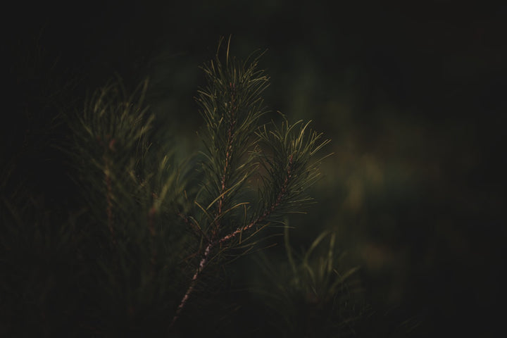 All