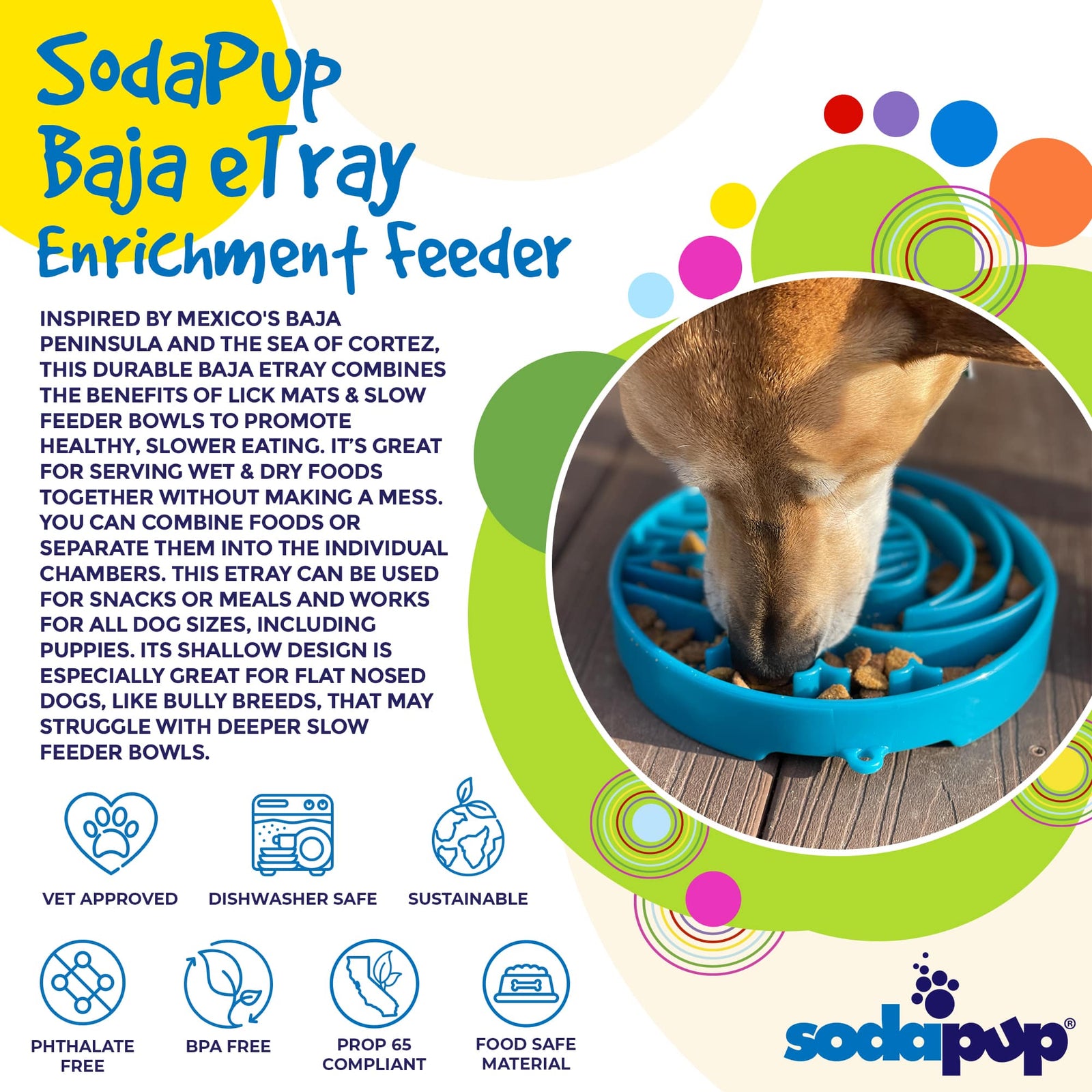 Baja Shallow Slow Feeder Dog Bowl for Enrichment