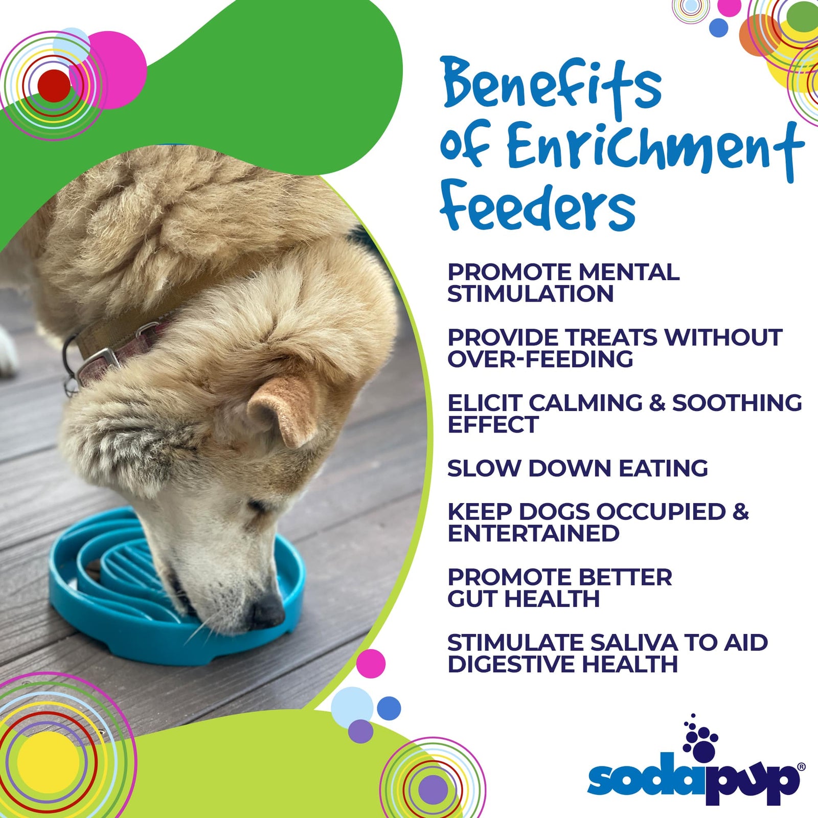 Baja Shallow Slow Feeder Dog Bowl for Enrichment