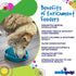 Baja Shallow Slow Feeder Dog Bowl for Enrichment