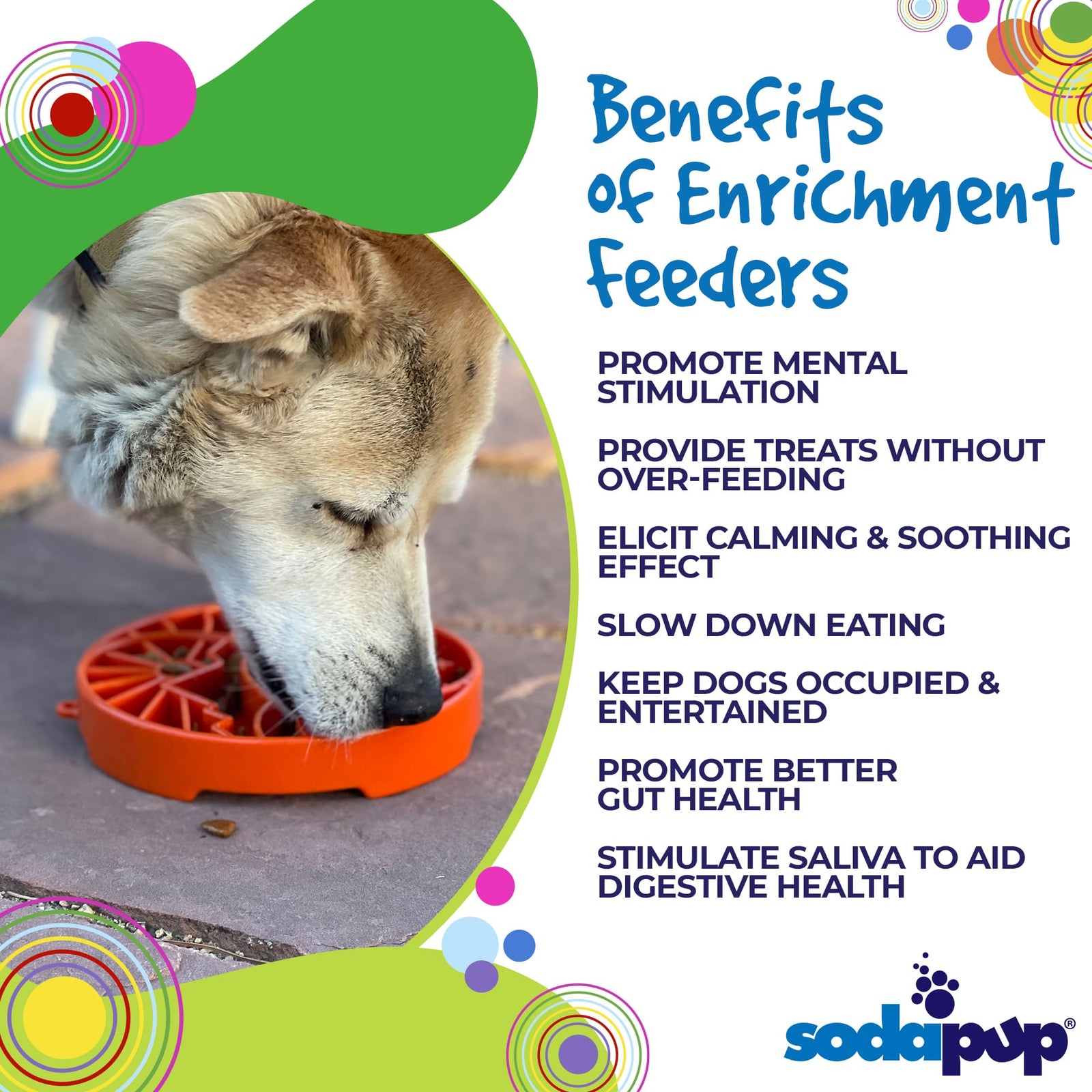 Sun and Moon Shallow Slow Feeder Dog Bowl for Enrichment