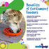 Sun and Moon Shallow Slow Feeder Dog Bowl for Enrichment