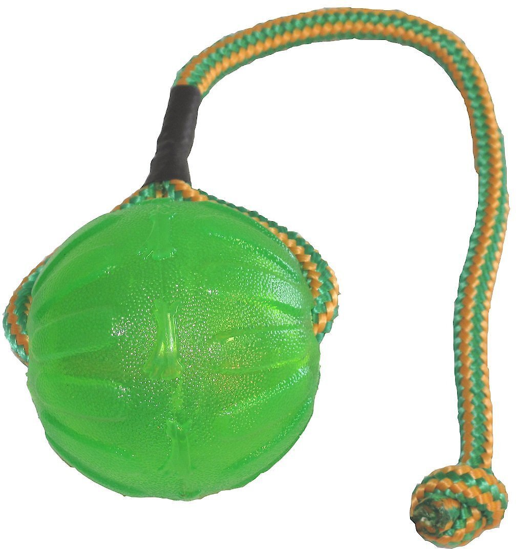 Starmark Swing n' Fling Chewball