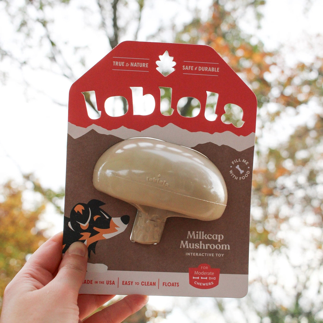 Milkcap Mushroom Interactive Toy