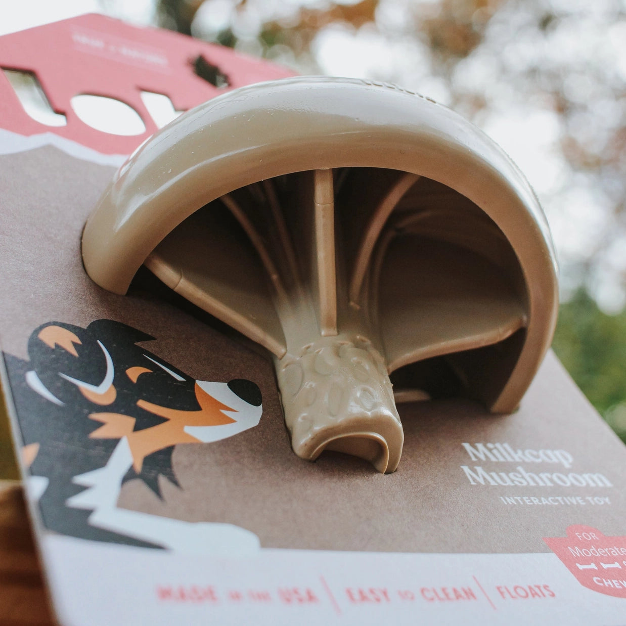 Milkcap Mushroom Interactive Toy