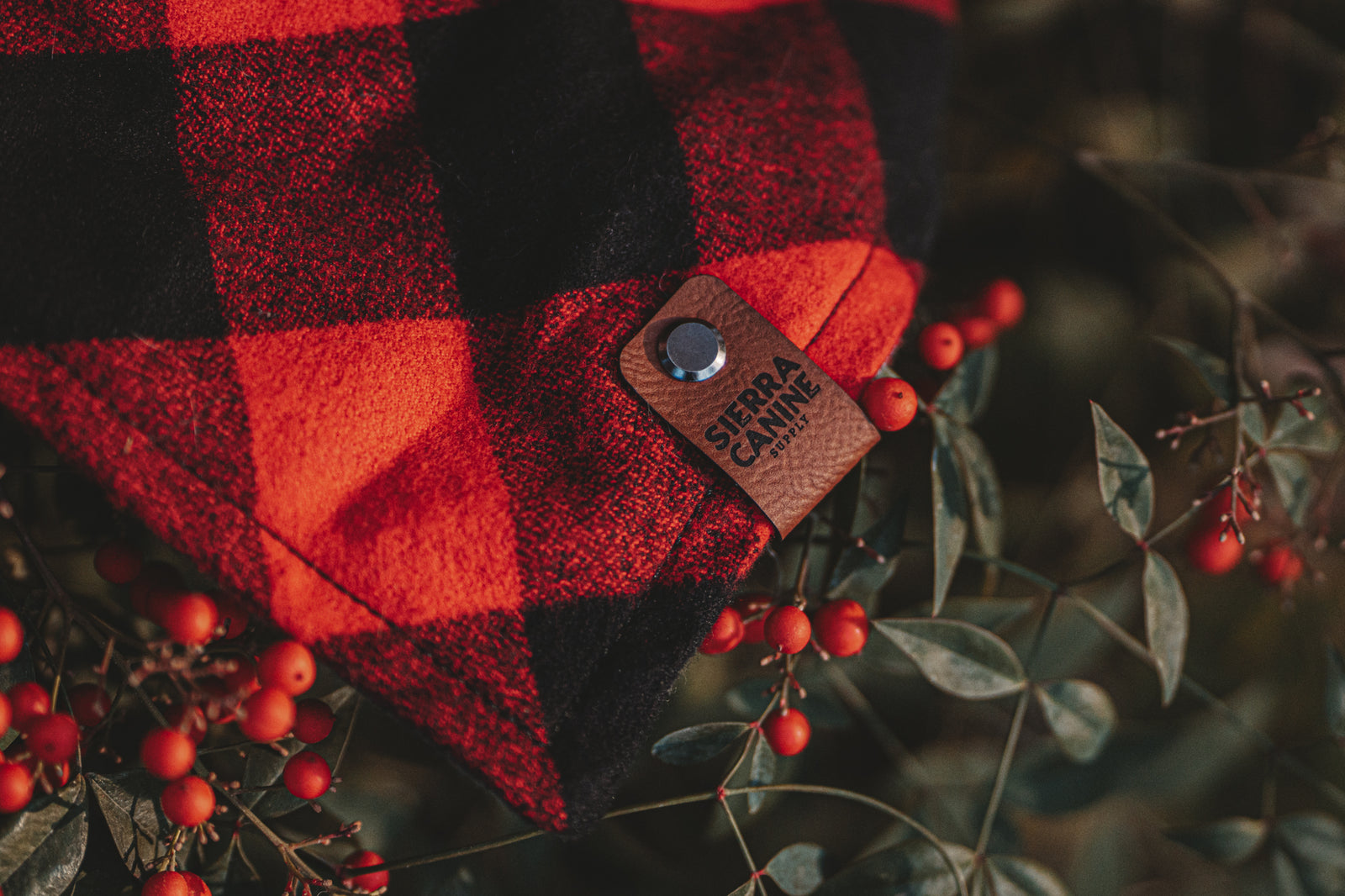 Red Buffalo Check Bandana