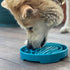 Baja Shallow Slow Feeder Dog Bowl for Enrichment