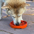 Sun and Moon Shallow Slow Feeder Dog Bowl for Enrichment