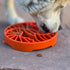 Sun and Moon Shallow Slow Feeder Dog Bowl for Enrichment