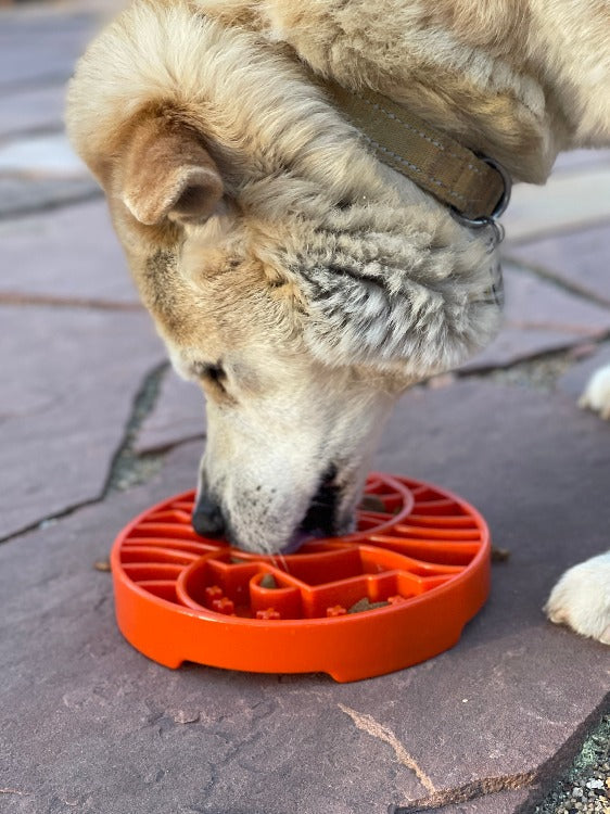 Sun and Moon Shallow Slow Feeder Dog Bowl for Enrichment