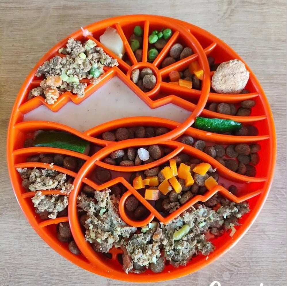 Sun and Moon Shallow Slow Feeder Dog Bowl for Enrichment