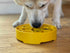 Honeycomb eBowl Deep Slow Feeder Dog Bowl for Enrichment