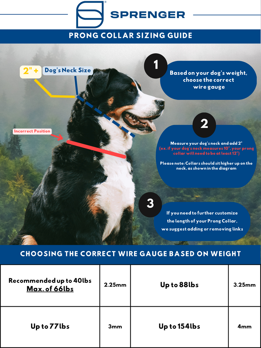 Herm Sprenger Stainless Steel Prong Dog Training Collar with Swivel - Sierra Canine Supply