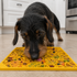 Autumn Lick Mat