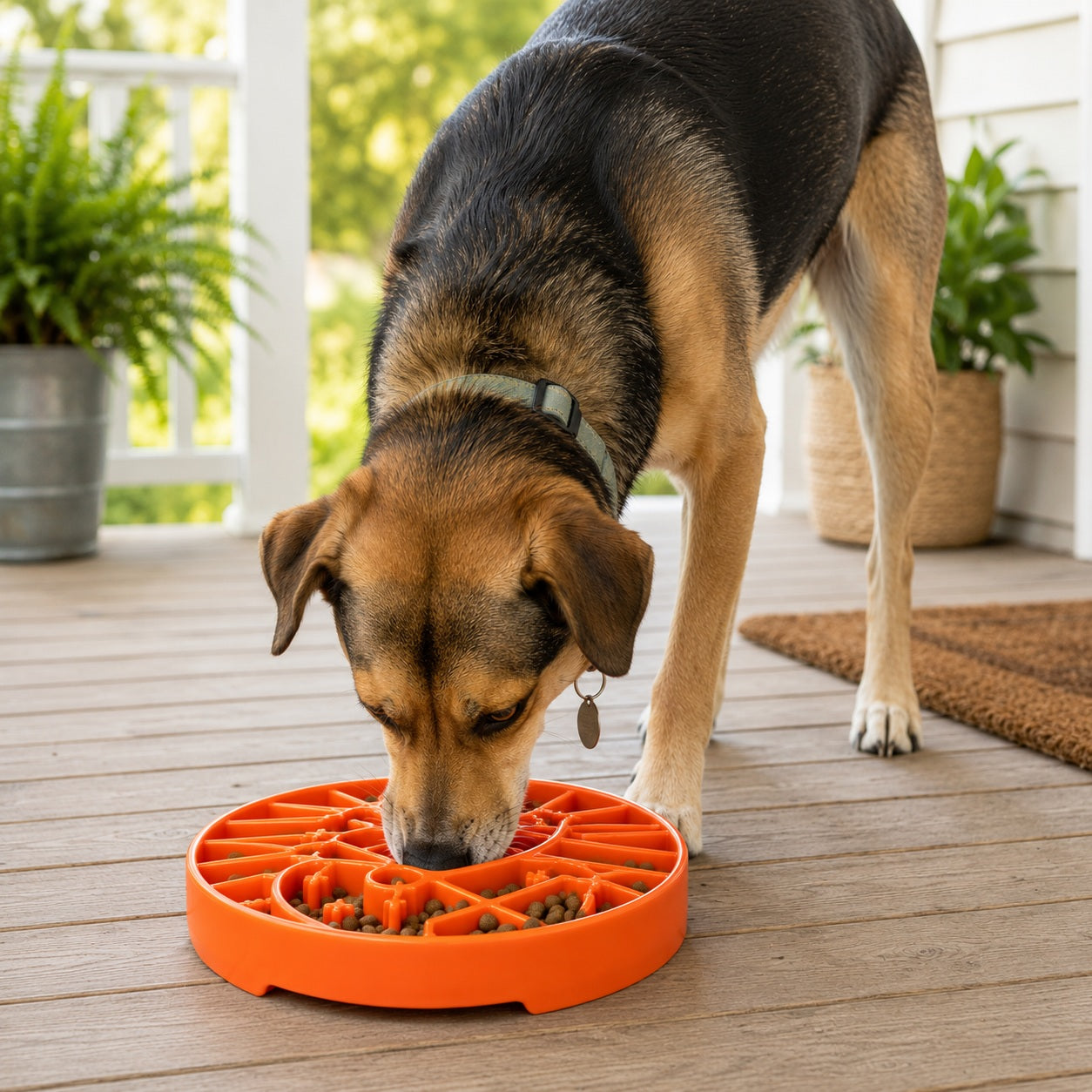 Sun and Moon Shallow Slow Feeder Dog Bowl for Enrichment