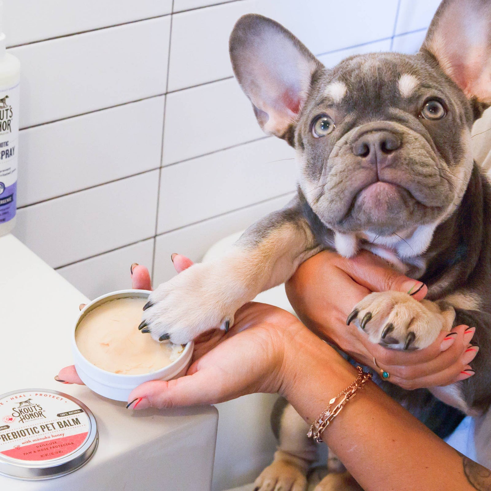 Skout's Honor Prebiotic Pet Balm