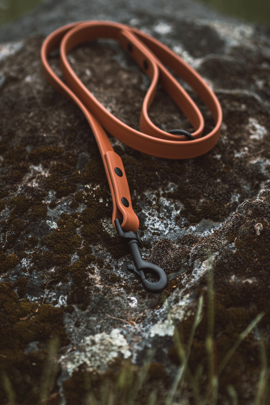 Chestnut Leash - Sierra Canine Supply
