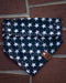 Old Glory Blue Bandana - Sierra Canine Supply