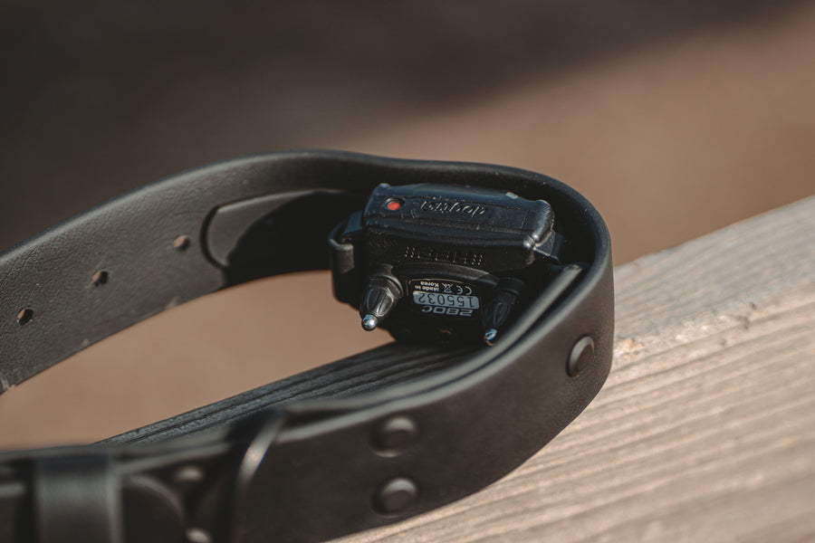 E-Collar Concealment Collar 1.5