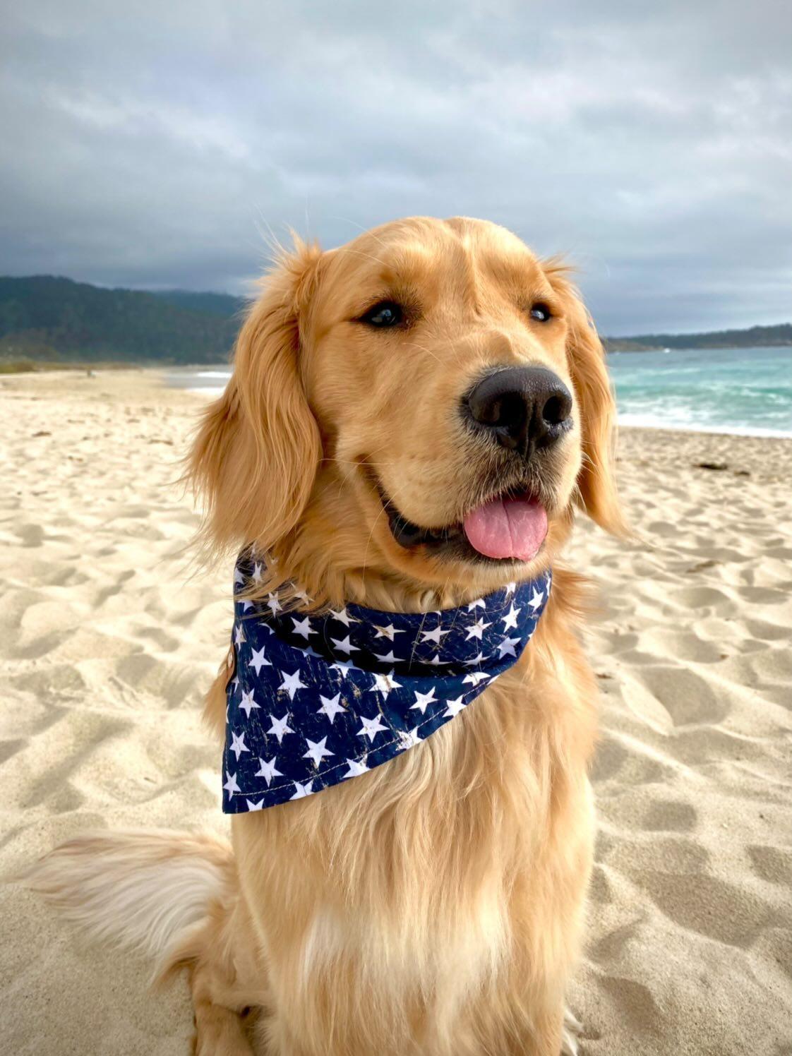 Old Glory Blue Bandana - Sierra Canine Supply