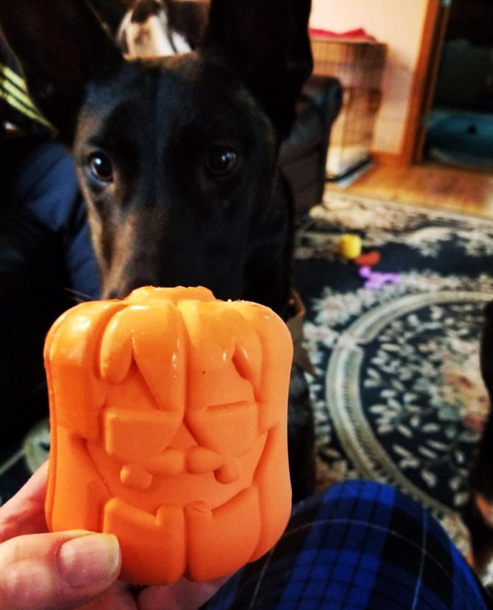 MKB Jack O' Lantern Durable Rubber Chew Toy & Treat Dispenser - Sierra Canine Supply