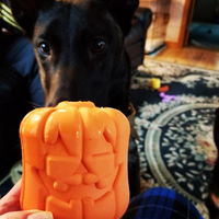 MKB Jack O' Lantern Durable Rubber Chew Toy & Treat Dispenser - Sierra Canine Supply
