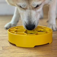 Honeycomb Enrichment Bowl - Sierra Canine Supply