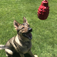 USA-K9 Magnum Grenade Durable Rubber Reward Toy - Sierra Canine Supply