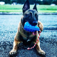 USA-K9 Magnum Grenade Durable Rubber Reward Toy - Sierra Canine Supply