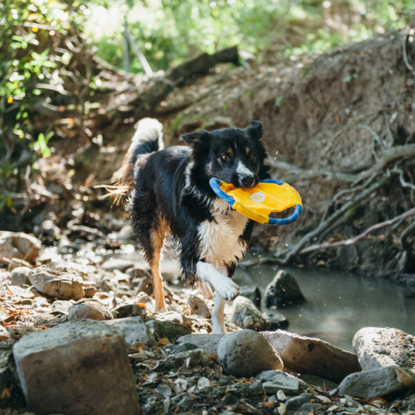 Rope Gliderz - Sierra Canine Supply