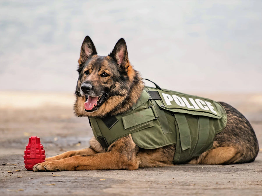 USA K9 Puppy Grenade Durable Rubber Reward Toy Sierra Canine Supply